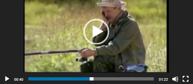 ватсап видео рыбалка