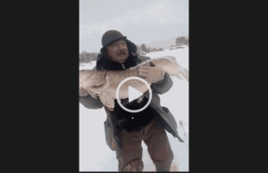 Видео на зимней рыбалке невероятно большая щука