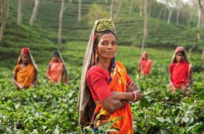 working-person-people-woman-farm-tea-890073-pxhere.com-min
